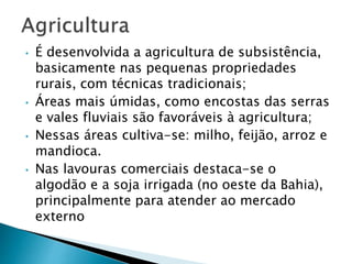 • É desenvolvida a agricultura de subsistência, 
basicamente nas pequenas propriedades 
rurais, com técnicas tradicionais; 
• Áreas mais úmidas, como encostas das serras 
e vales fluviais são favoráveis à agricultura; 
• Nessas áreas cultiva-se: milho, feijão, arroz e 
mandioca. 
• Nas lavouras comerciais destaca-se o 
algodão e a soja irrigada (no oeste da Bahia), 
principalmente para atender ao mercado 
externo 
 