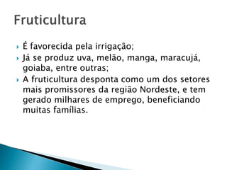  É favorecida pela irrigação; 
 Já se produz uva, melão, manga, maracujá, 
goiaba, entre outras; 
 A fruticultura desponta como um dos setores 
mais promissores da região Nordeste, e tem 
gerado milhares de emprego, beneficiando 
muitas famílias. 
 