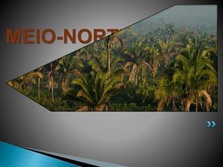 MEIO-NORTE 
 