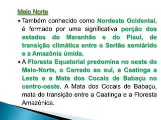 Meio Norte 
Também conhecido como Nordeste Ocidental, 
é formado por uma significativa porção dos 
estados do Maranhão e do Piauí, de 
transição climática entre o Sertão semiárido 
e a Amazônia úmida. 
A Floresta Equatorial predomina no oeste do 
Meio-Norte, o Cerrado ao sul, a Caatinga a 
Leste e a Mata dos Cocais de Babaçu no 
centro-oeste. A Mata dos Cocais de Babaçu, 
mata de transição entre a Caatinga e a Floresta 
Amazônica. 
 