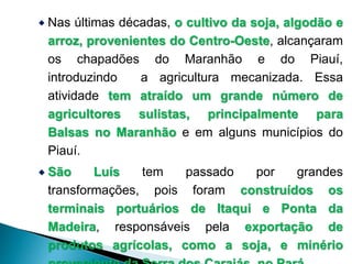  Nas últimas décadas, o cultivo da soja, algodão e 
arroz, provenientes do Centro-Oeste, alcançaram 
os chapadões do Maranhão e do Piauí, 
introduzindo a agricultura mecanizada. Essa 
atividade tem atraído um grande número de 
agricultores sulistas, principalmente para 
Balsas no Maranhão e em alguns municípios do 
Piauí. 
 São Luís tem passado por grandes 
transformações, pois foram construídos os 
terminais portuários de Itaqui e Ponta da 
Madeira, responsáveis pela exportação de 
produtos agrícolas, como a soja, e minério 
proveniente da Serra dos Carajás, no Pará. 
 