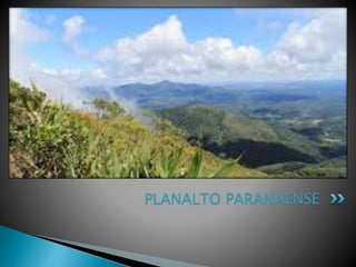 PLANALTO PARANAENSE 
 