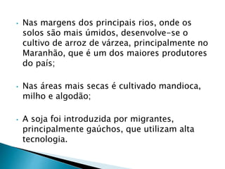 • Nas margens dos principais rios, onde os 
solos são mais úmidos, desenvolve-se o 
cultivo de arroz de várzea, principalmente no 
Maranhão, que é um dos maiores produtores 
do país; 
• Nas áreas mais secas é cultivado mandioca, 
milho e algodão; 
• A soja foi introduzida por migrantes, 
principalmente gaúchos, que utilizam alta 
tecnologia. 
 