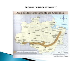 ARCO DE DESFLORESTAMENTO 
 