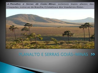PLANALTO E SERRAS GOIÁS-MINAS 
 
