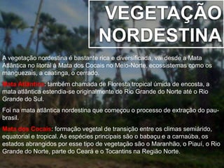 VEGETAÇÃO 
NORDESTINA 
A vegetação nordestina é bastante rica e diversificada, vai desde a Mata 
Atlântica no litoral à Mata dos Cocais no Meio-Norte, ecossistemas como os 
manguezais, a caatinga, o cerrado. 
Mata Atlântica: também chamada de Floresta tropical úmida de encosta, a 
mata atlântica estendia-se originalmente do Rio Grande do Norte até o Rio 
Grande do Sul. 
Foi na mata atlântica nordestina que começou o processo de extração do pau-brasil. 
Mata dos Cocais: formação vegetal de transição entre os climas semiárido, 
equatorial e tropical. As espécies principais são o babaçu e a carnaúba, os 
estados abrangidos por esse tipo de vegetação são o Maranhão, o Piauí, o Rio 
Grande do Norte, parte do Ceará e o Tocantins na Região Norte. 
 