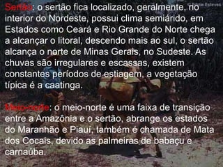 Sertão: o sertão fica localizado, geralmente, no 
interior do Nordeste, possui clima semiárido, em 
Estados como Ceará e Rio Grande do Norte chega 
a alcançar o litoral, descendo mais ao sul, o sertão 
alcança o norte de Minas Gerais, no Sudeste. As 
chuvas são irregulares e escassas, existem 
constantes períodos de estiagem, a vegetação 
típica é a caatinga. 
Meio-norte: o meio-norte é uma faixa de transição 
entre a Amazônia e o sertão, abrange os estados 
do Maranhão e Piauí, também é chamada de Mata 
dos Cocais, devido as palmeiras de babaçu e 
carnaúba. 
 