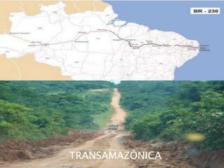 TRANSAMAZÔNICA 
 