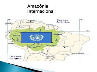 Amazônia 
Internacional 
 