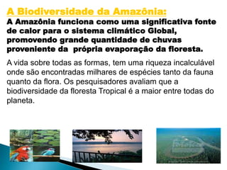 A Biodiversidade da Amazônia: 
A Amazônia funciona como uma significativa fonte 
de calor para o sistema climático Global, 
promovendo grande quantidade de chuvas 
proveniente da própria evaporação da floresta. 
A vida sobre todas as formas, tem uma riqueza incalculável 
onde são encontradas milhares de espécies tanto da fauna 
quanto da flora. Os pesquisadores avaliam que a 
biodiversidade da floresta Tropical é a maior entre todas do 
planeta. 
 