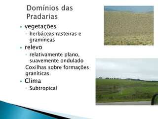  vegetações 
◦ herbáceas rasteiras e 
gramíneas 
 relevo 
◦ relativamente plano, 
suavemente ondulado 
Coxilhas sobre formações 
graníticas. 
 Clima 
◦ Subtropical 
 