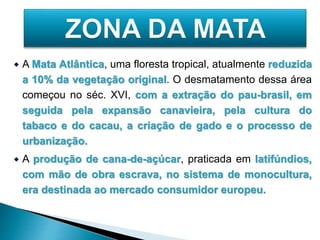 A Mata Atlântica, uma floresta tropical, atualmente reduzida 
a 10% da vegetação original. O desmatamento dessa área 
começou no séc. XVI, com a extração do pau-brasil, em 
seguida pela expansão canavieira, pela cultura do 
tabaco e do cacau, a criação de gado e o processo de 
urbanização. 
 A produção de cana-de-açúcar, praticada em latifúndios, 
com mão de obra escrava, no sistema de monocultura, 
era destinada ao mercado consumidor europeu. 
 