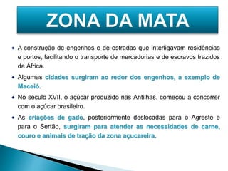  A construção de engenhos e de estradas que interligavam residências 
e portos, facilitando o transporte de mercadorias e de escravos trazidos 
da África. 
 Algumas cidades surgiram ao redor dos engenhos, a exemplo de 
Maceió. 
 No século XVII, o açúcar produzido nas Antilhas, começou a concorrer 
com o açúcar brasileiro. 
 As criações de gado, posteriormente deslocadas para o Agreste e 
para o Sertão, surgiram para atender as necessidades de carne, 
couro e animais de tração da zona açucareira. 
 