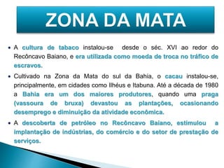  A cultura de tabaco instalou-se desde o séc. XVI ao redor do 
Recôncavo Baiano, e era utilizada como moeda de troca no tráfico de 
escravos. 
 Cultivado na Zona da Mata do sul da Bahia, o cacau instalou-se, 
principalmente, em cidades como Ilhéus e Itabuna. Até a década de 1980 
a Bahia era um dos maiores produtores, quando uma praga 
(vassoura de bruxa) devastou as plantações, ocasionando 
desemprego e diminuição da atividade econômica. 
 A descoberta de petróleo no Recôncavo Baiano, estimulou a 
implantação de indústrias, do comércio e do setor de prestação de 
serviços. 
 