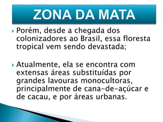  Porém, desde a chegada dos 
colonizadores ao Brasil, essa floresta 
tropical vem sendo devastada; 
 Atualmente, ela se encontra com 
extensas áreas substituídas por 
grandes lavouras monocultoras, 
principalmente de cana-de-açúcar e 
de cacau, e por áreas urbanas. 
 