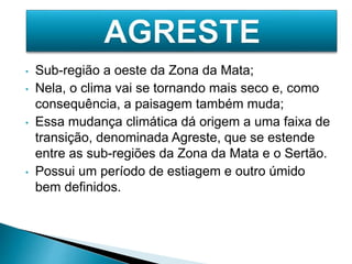 • Sub-região a oeste da Zona da Mata; 
• Nela, o clima vai se tornando mais seco e, como 
consequência, a paisagem também muda; 
• Essa mudança climática dá origem a uma faixa de 
transição, denominada Agreste, que se estende 
entre as sub-regiões da Zona da Mata e o Sertão. 
• Possui um período de estiagem e outro úmido 
bem definidos. 
 