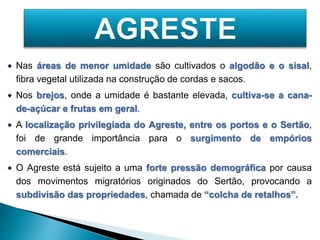  Nas áreas de menor umidade são cultivados o algodão e o sisal, 
fibra vegetal utilizada na construção de cordas e sacos. 
 Nos brejos, onde a umidade é bastante elevada, cultiva-se a cana-de- 
açúcar e frutas em geral. 
 A localização privilegiada do Agreste, entre os portos e o Sertão, 
foi de grande importância para o surgimento de empórios 
comerciais. 
 O Agreste está sujeito a uma forte pressão demográfica por causa 
dos movimentos migratórios originados do Sertão, provocando a 
subdivisão das propriedades, chamada de “colcha de retalhos”. 
 