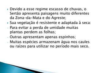  Devido a esse regime escasso de chuvas, o 
Sertão apresenta paisagens muito diferentes 
da Zona-da-Mata e do Agreste; 
 Sua vegetação é resistente e adaptada à seca: 
- Para evitar a perda de umidade muitas 
plantas perdem as folhas; 
- Outras apresentam apenas espinhos; 
- Muitas espécies armazenam água nos caules 
ou raízes para utilizar no período mais seco. 
 