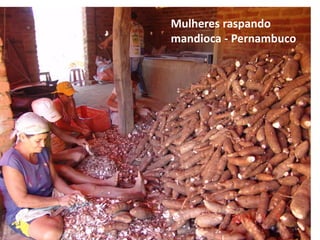 Mulheres raspando 
mandioca - Pernambuco 
 