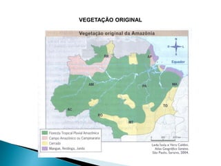 VEGETAÇÃO ORIGINAL 
 