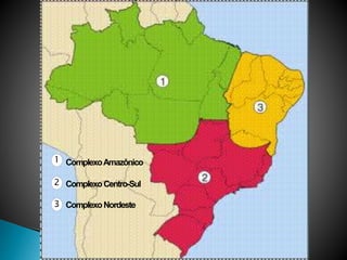 1 
2 
3 
Complexo Amazônico 
Complexo Centro-Sul 
Complexo Nordeste 
 