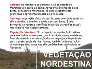 Cerrado: no Nordeste só abrange o sul do estado do 
Maranhão e o oeste da Bahia. Apresenta árvores de baixo 
porte, com galhos retorcidos, no chão é coberto por 
gramíneas e apresenta um solo de alta acidez. 
Caatinga: vegetação típica do sertão, suas principais espécies 
são o pereiro, a aroeira, o avelo e as cactáceas. É uma 
formação de vegetais xerófitos (vegetais de regiões secas), 
mas é muito rica ecologicamente. 
Vegetação Litorânea: Na categoria de vegetação litorânea 
podemos incluir os mangues, que é um riquíssimo ecossistema, 
local de moradia e reprodução dos caranguejos e importante 
para a preservação de rios, lagoas; também podemos incluir 
as restingas e as dunas que são cenários bem conhecidos do 
Nordeste 
VEGETAÇÃO 
NORDESTINA 
 