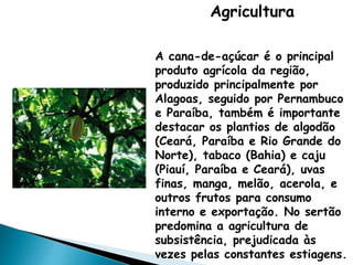 Agricultura 
A cana-de-açúcar é o principal 
produto agrícola da região, 
produzido principalmente por 
Alagoas, seguido por Pernambuco 
e Paraíba, também é importante 
destacar os plantios de algodão 
(Ceará, Paraíba e Rio Grande do 
Norte), tabaco (Bahia) e caju 
(Piauí, Paraíba e Ceará), uvas 
finas, manga, melão, acerola, e 
outros frutos para consumo 
interno e exportação. No sertão 
predomina a agricultura de 
subsistência, prejudicada às 
vezes pelas constantes estiagens. 
 