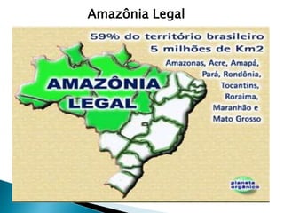 Amazônia Legal 
 