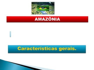 AMAZÔNIA 
Características gerais. 
 