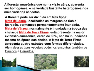 A floresta amazônica que numa visão aérea, aparenta 
ser homogênea, é na verdade bastante heterogênea nos 
mais variados aspectos. 
A floresta pode ser dividida em três tipos: 
Mata de Igapó, localizadas as margens de rios e 
igarapés, permanece permanentemente inundada. 
Mata de Várzea, normalmente é inundada na época das 
cheias, e Mata de Terra Firme, está presente na maior 
extensão amazônica, cerca de 80%, não há inundações 
mesmo na época das cheias. A Mata de Terra Firme 
apresenta quatro extratos com formas diferenciadas. 
Alem desses tipos vegetais podemos encontrar também os 
Campos e Cerrados. 
 