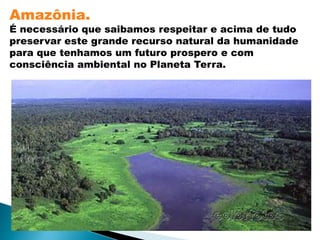 Amazônia. 
É necessário que saibamos respeitar e acima de tudo 
preservar este grande recurso natural da humanidade 
para que tenhamos um futuro prospero e com 
consciência ambiental no Planeta Terra. 
 