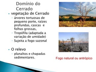  vegetação de Cerrado 
◦ árvores tortuosas de 
pequeno porte, raízes 
profundas, cascas e 
folhas grossas, 
◦ Tropófila (adaptada a 
variação de umidade) 
◦ Sujeita a fogo sazonal 
 O relevo 
◦ planaltos e chapadas 
sedimentares. Fogo natural ou antrópico 
 
