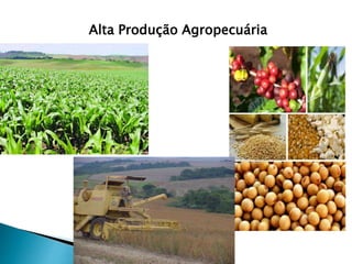 Alta Produção Agropecuária 
 