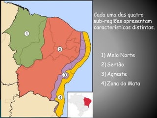 Cada uma das quatro 
sub-regiões apresentam 
características distintas. 
1) Meio Norte 
2) Sertão 
3) Agreste 
4) Zona da Mata 
 