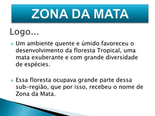  Um ambiente quente e úmido favoreceu o 
desenvolvimento da floresta Tropical, uma 
mata exuberante e com grande diversidade 
de espécies. 
 Essa floresta ocupava grande parte dessa 
sub-região, que por isso, recebeu o nome de 
Zona da Mata. 
 