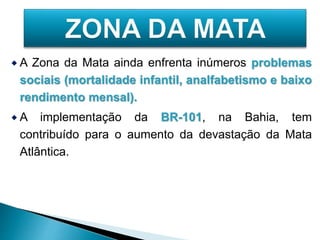  A Zona da Mata ainda enfrenta inúmeros problemas 
sociais (mortalidade infantil, analfabetismo e baixo 
rendimento mensal). 
 A implementação da BR-101, na Bahia, tem 
contribuído para o aumento da devastação da Mata 
Atlântica. 
 