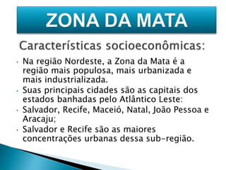 • Na região Nordeste, a Zona da Mata é a 
região mais populosa, mais urbanizada e 
mais industrializada. 
• Suas principais cidades são as capitais dos 
estados banhadas pelo Atlântico Leste: 
• Salvador, Recife, Maceió, Natal, João Pessoa e 
Aracaju; 
• Salvador e Recife são as maiores 
concentrações urbanas dessa sub-região. 
 