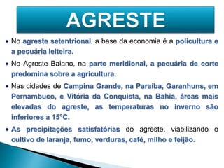  No agreste setentrional, a base da economia é a policultura e 
a pecuária leiteira. 
 No Agreste Baiano, na parte meridional, a pecuária de corte 
predomina sobre a agricultura. 
 Nas cidades de Campina Grande, na Paraíba, Garanhuns, em 
Pernambuco, e Vitória da Conquista, na Bahia, áreas mais 
elevadas do agreste, as temperaturas no inverno são 
inferiores a 15°C. 
 As precipitações satisfatórias do agreste, viabilizando o 
cultivo de laranja, fumo, verduras, café, milho e feijão. 
 