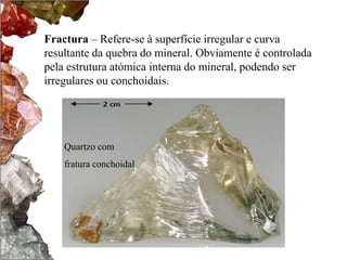 Fractura – Refere-se à superfície irregular e curva 
resultante da quebra do mineral. Obviamente é controlada 
pela estrutura atómica interna do mineral, podendo ser 
irregulares ou conchoidais. 
Quartzo com 
fratura conchoidal 
 