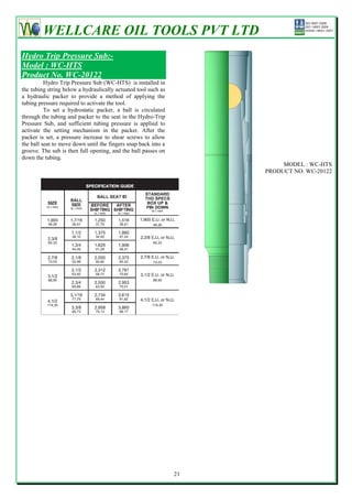 Packers & bridge plugs | PDF