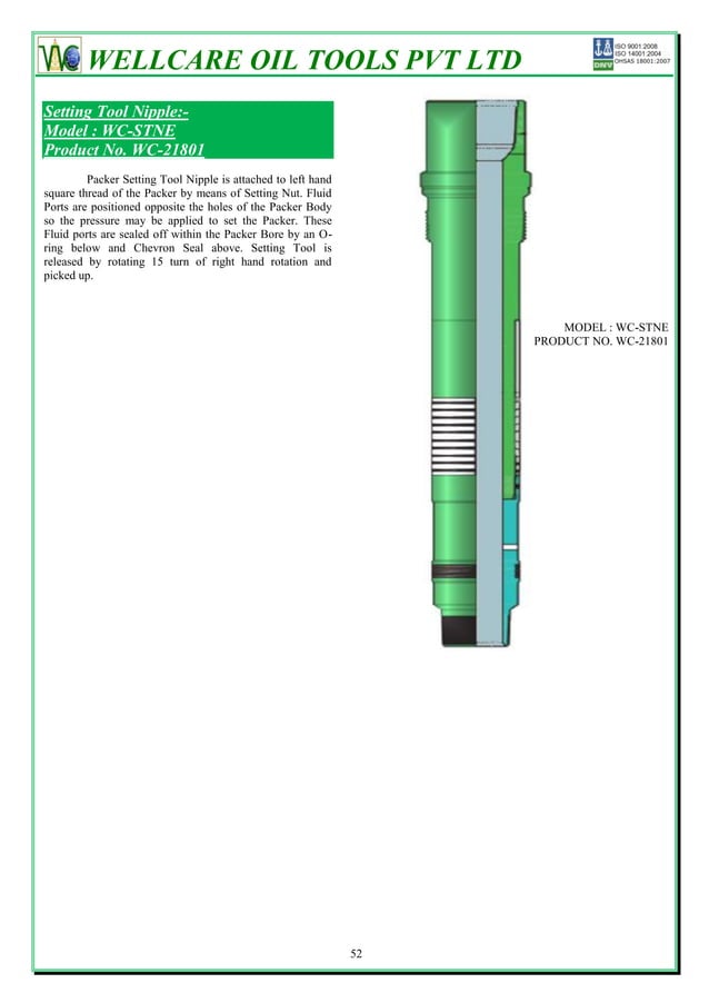 Packers & bridge plugs PDF