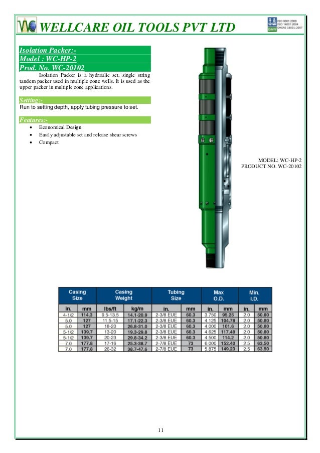 Packers & bridge plugs