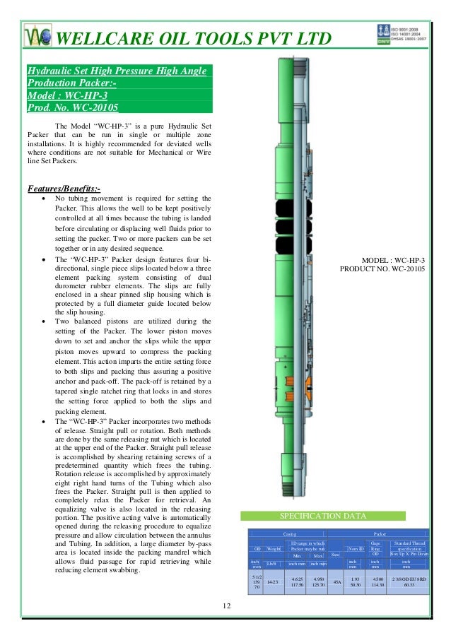Packers & bridge plugs