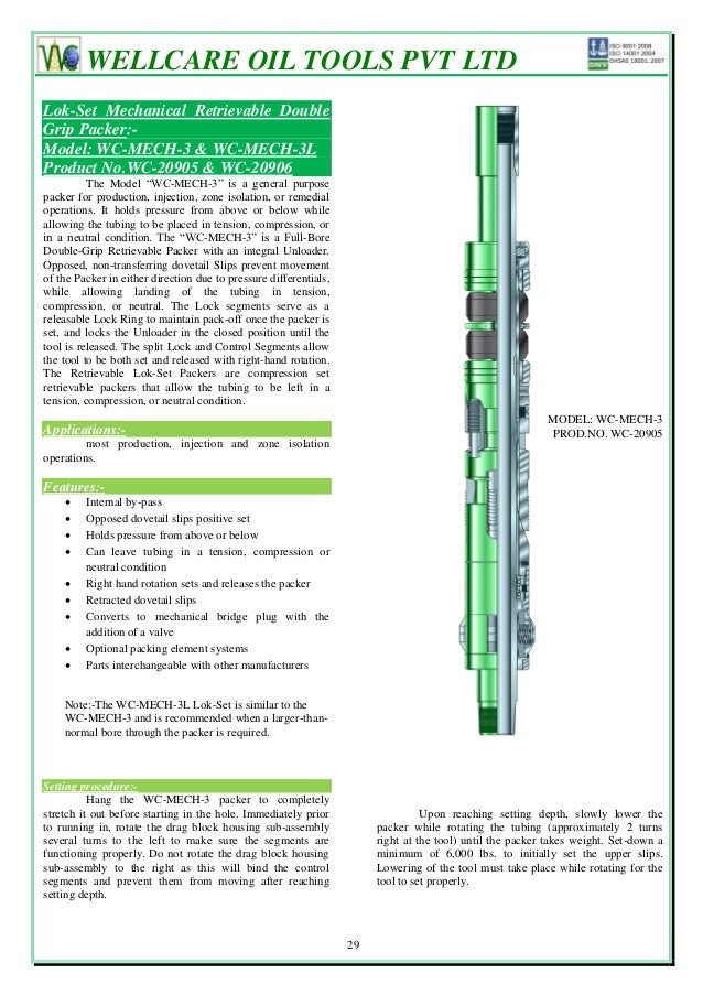 Packers & bridge plugs