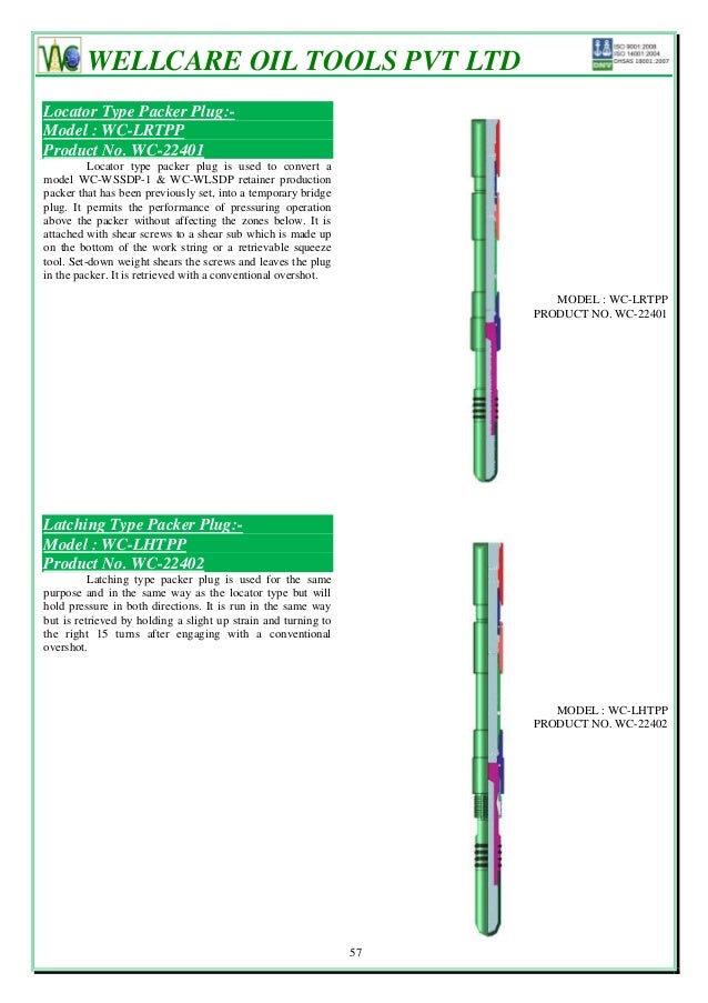 Packers & bridge plugs