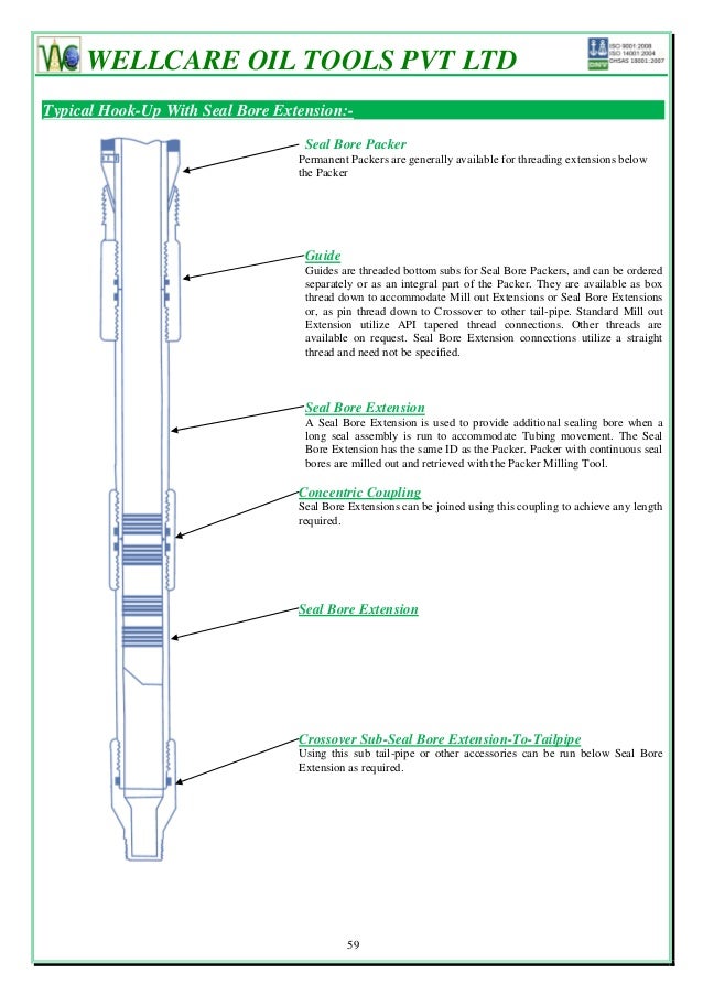 Packers & bridge plugs