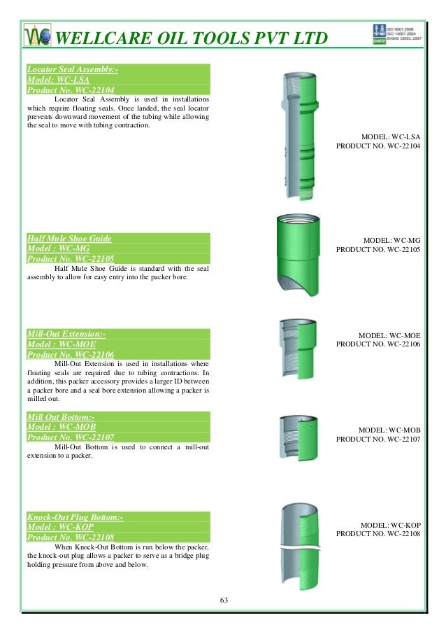 Packers & bridge plugs