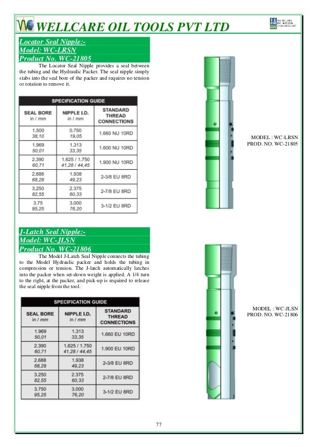 Packers & bridge plugs