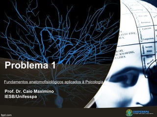 Problema 1
Prof. Dr. Caio Maximino
IESB/Unifesspa
Fundamentos anatomofisiológicos aplicados à Psicologia
 