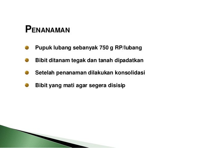 MATERI KELAPA SAIT 1 POLITEKNIK LPP YOGYAKARTA